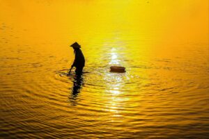 薄毛治療クリニックの評判はどこで確認できる？