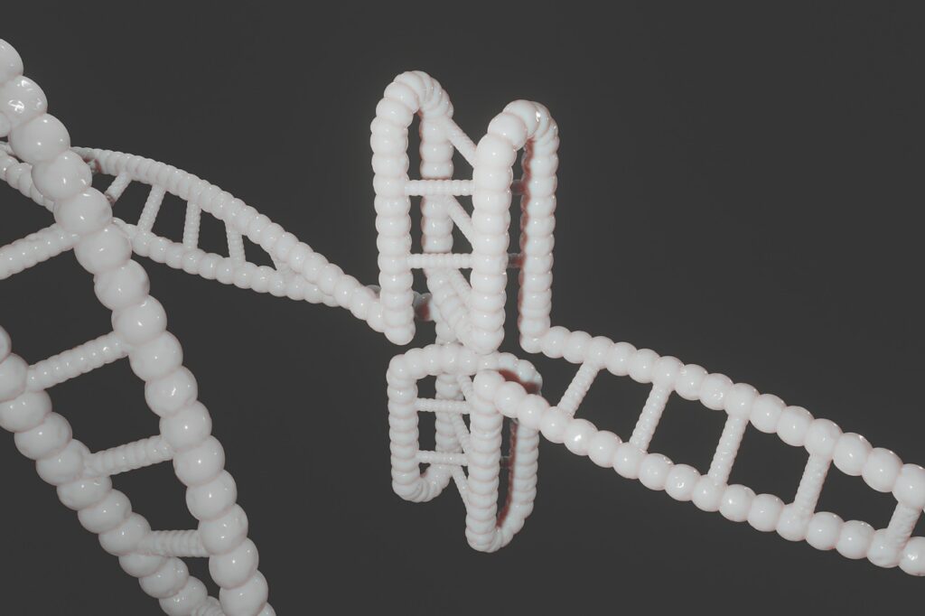 発毛におけるDNA検査はどのように対応しているのか？