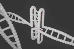 発毛におけるDNA検査はどのように対応しているのか？