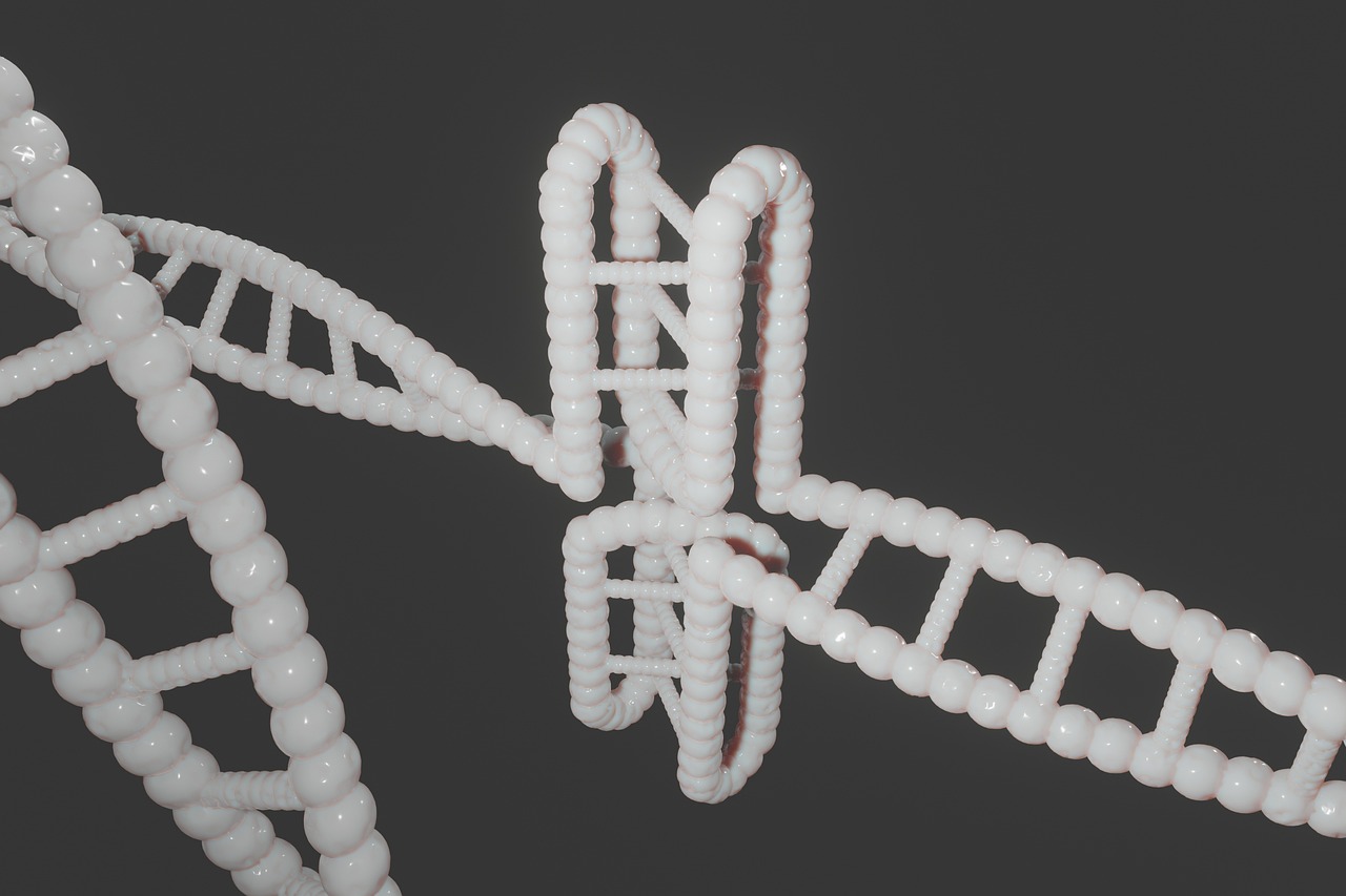 発毛におけるDNA検査はどのように対応しているのか？