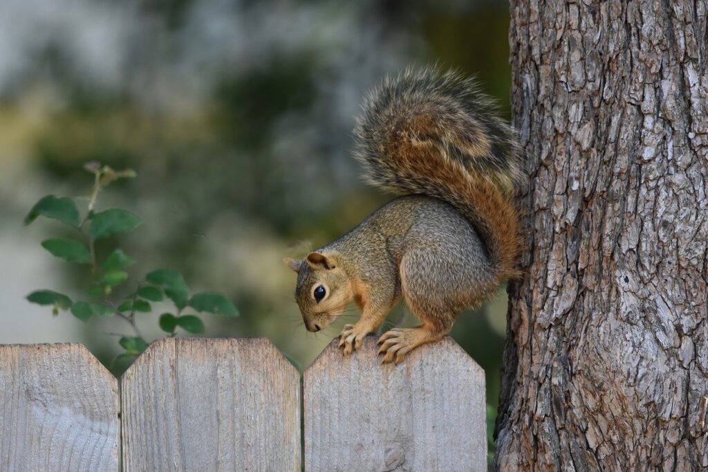 発毛の症例実績が多いクリニックはどこですか？