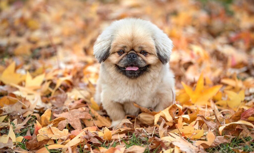 フィナステリドの副作用について知っておくべきことは？