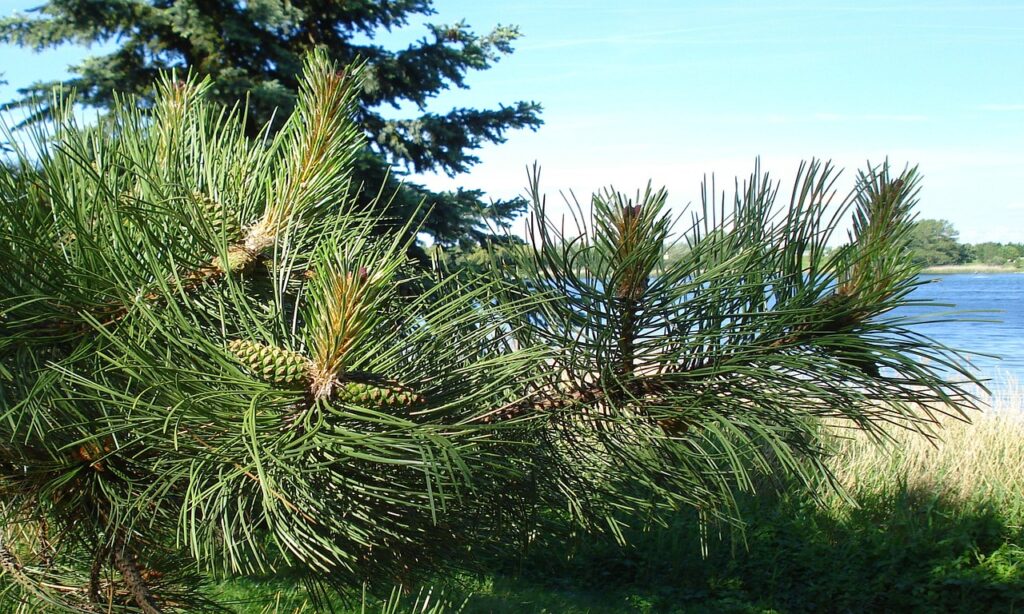 AGAクリニックでの相談方法はどのようにすれば良い？