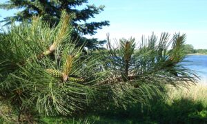 AGAクリニックでの相談方法はどのようにすれば良い？