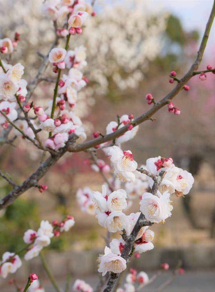 AGA治療の効果はいつ出るのか？